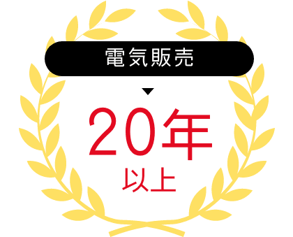 電気販売20年以上